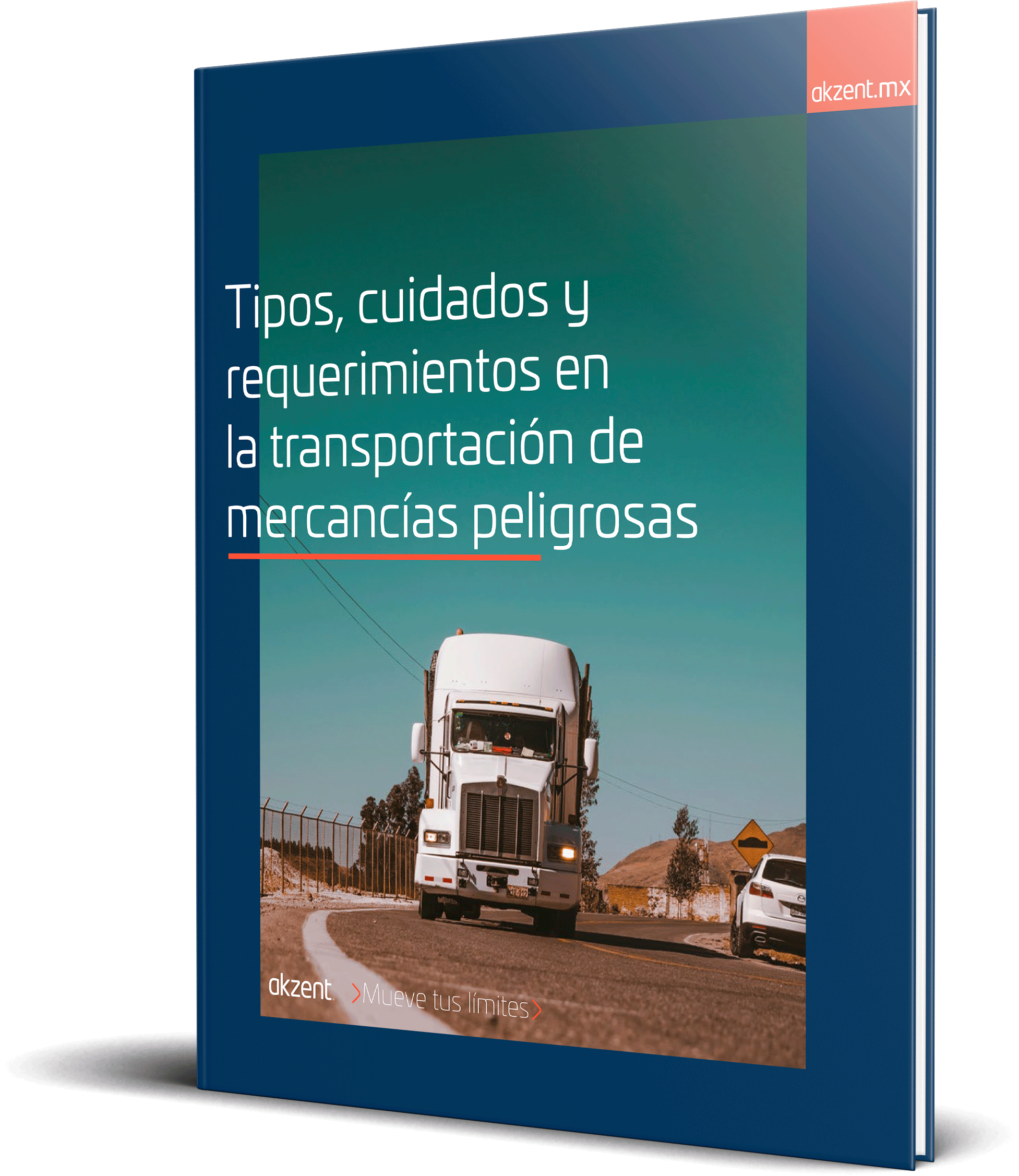 Tipos cuidados y más en la transportación de mercancías peligrosas